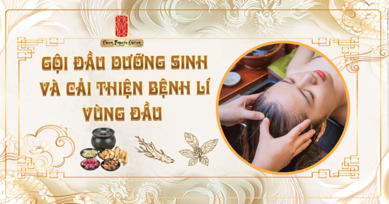 Gội đầu dưỡng sinh cải thiện bệnh lý vùng đầu
