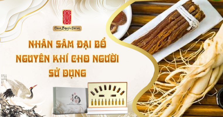 Nhân sâm - Đại bổ nguyên khí cho người sử dụng