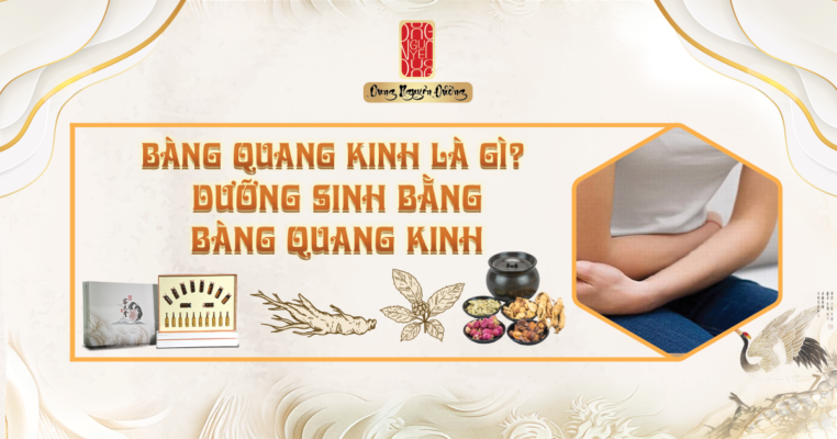 Bàng quang kinh là gì? dưỡng sinh bằng bàng quang kinh