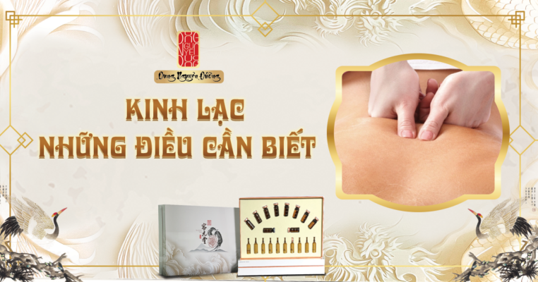 Kinh lạc và những điều bạn cần biết