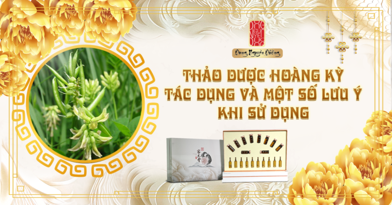 Thảo dược Hoàng Kỳ - Tác dụng và một số lưu ý khi sử dụng